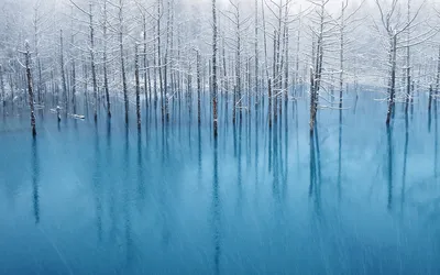 雪湖倒影 冬季 森林 蓝色 1080P
