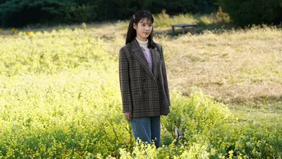田野中的格子外套女子 户外 自然 黄色 4K