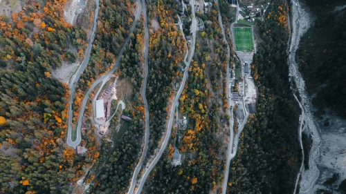秋日山路 秋日 山路 森林 4K