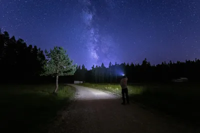 夜空下的森林小径 夜晚 星空 银河 4K