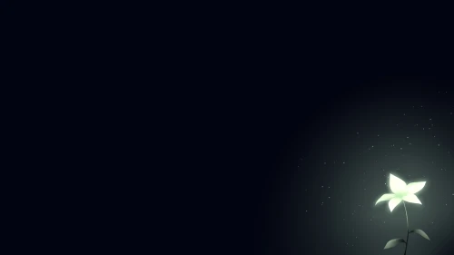 夜光孤花 黑暗 孤独 光芒 4K