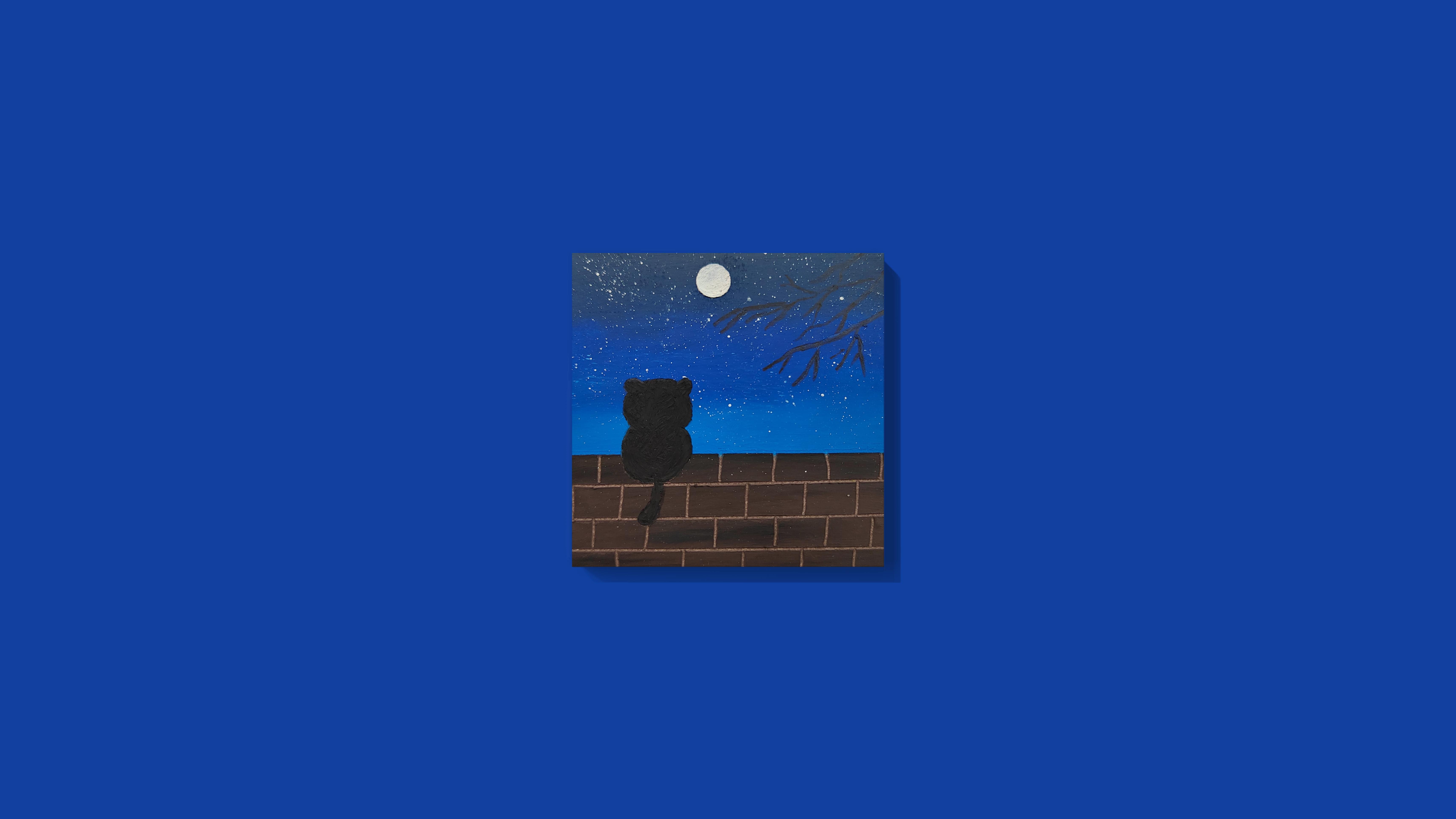 夜猫望月 夜晚 猫咪 蓝色调 4K