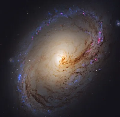 螺旋星系奇观 宇宙 星系 螺旋结构 2K